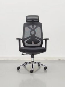 Ergonomics Office Chair Nepal