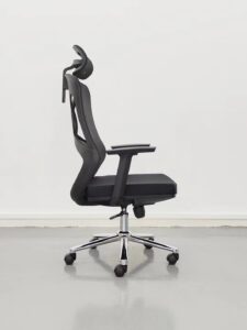 Ergonomics Office Chair Nepal