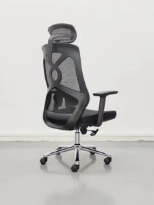 Ergonomics Office Chair Nepal