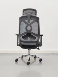 Ergonomics Office Chair Nepal