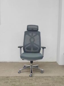 Ergonomics Office Chair Nepal