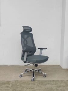 Ergonomics Office Chair Nepal