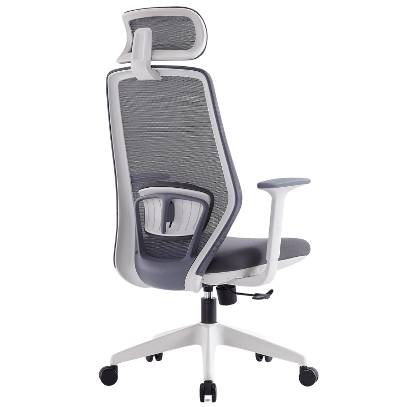 Ergonomics Office Chair S206