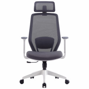 Ergonomics Office Chair S206