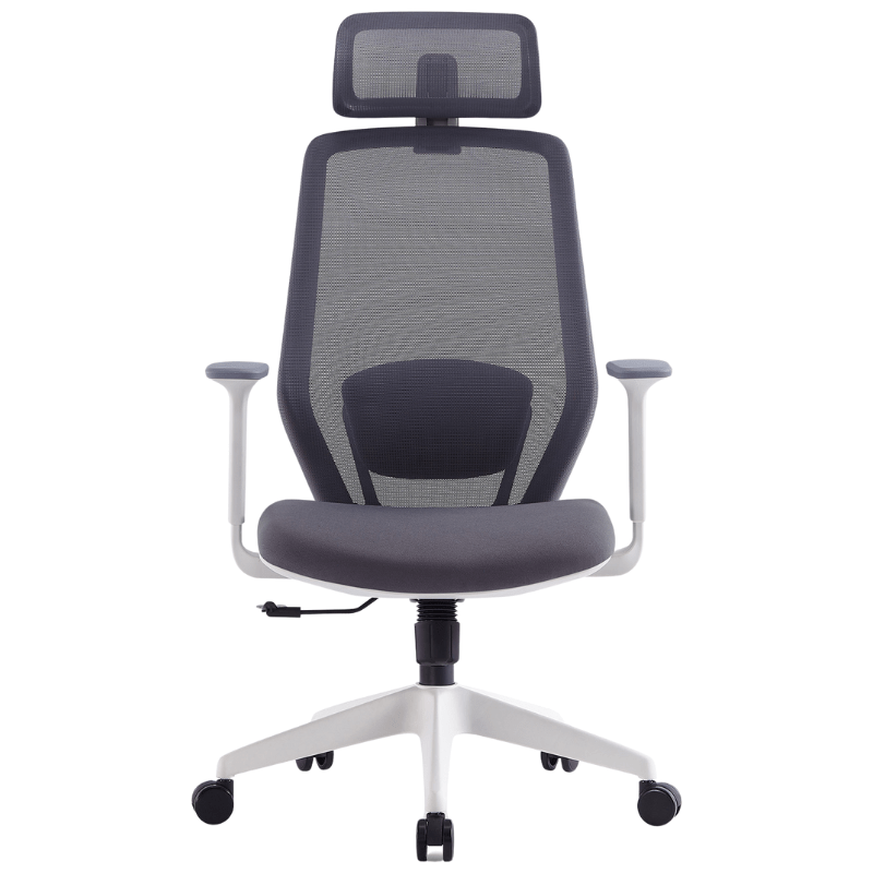Ergonomics Office Chair S206