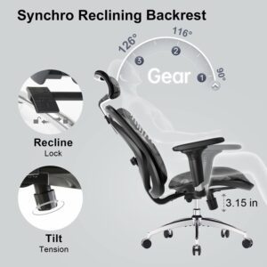 Ergonomics Office Chair Nepal Sihoo M57