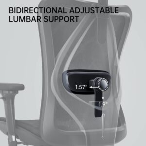Ergonomics Office Chair Nepal Sihoo M57