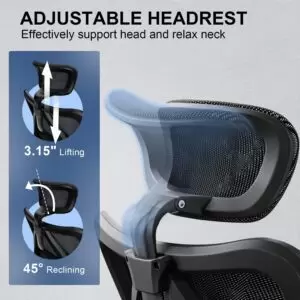 Ergonomics Office Chair Nepal Sihoo M57