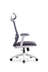Ergonomics Office Chair Nepal