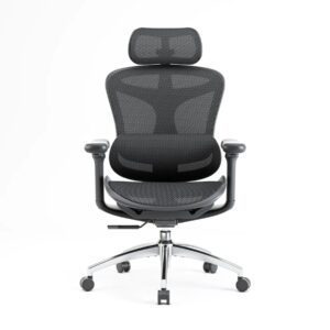 Ergonomics Office Chair Nepal