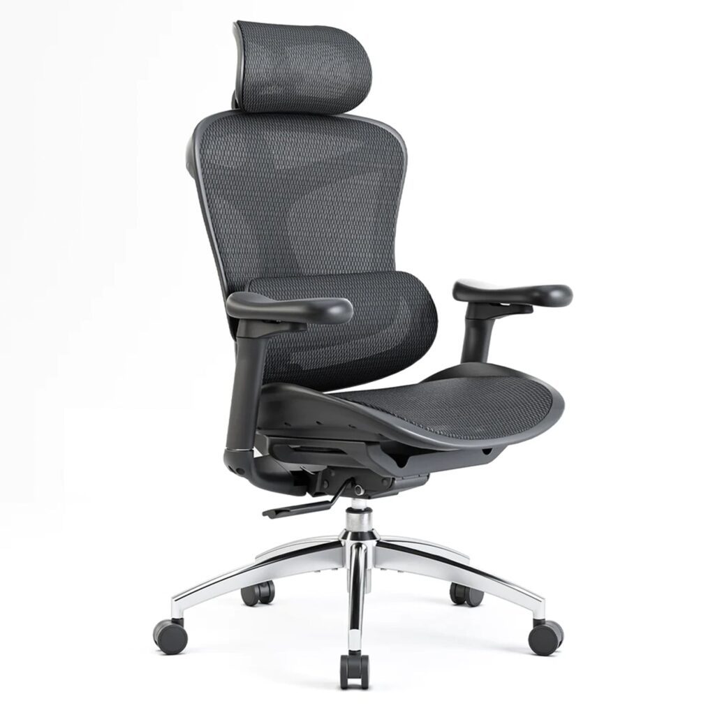 Ergonomics Office Chair Nepal