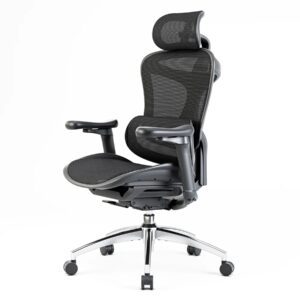 Ergonomics Office Chair Nepal