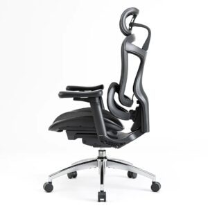 Ergonomics Office Chair Nepal