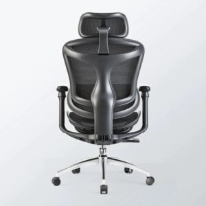 Ergonomics Office Chair Nepal