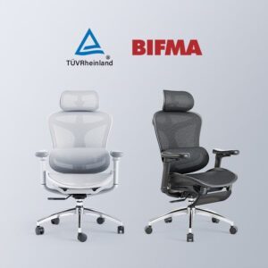 Ergonomics Office Chair Nepal
