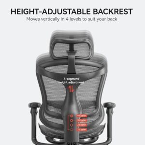 Ergonomics Office Chair Nepal