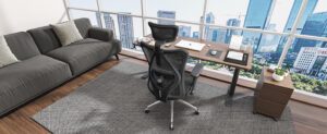 Ergonomics Office Chair Nepal Sihoo M57