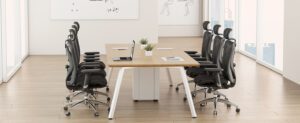 Ergonomics Office Chair Nepal Sihoo M57