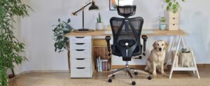 Ergonomics Office Chair Nepal