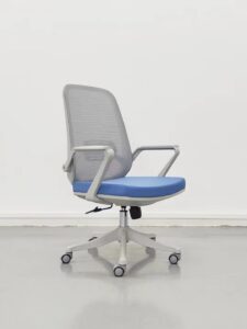 Ergonomics Office Chair Nepal