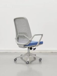 Ergonomics Office Chair Nepal