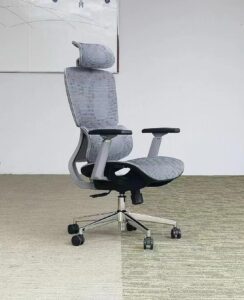 Ergonomics Office Chair Nepal